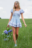 Stanton Mini Dress In Blueberry Dust