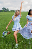 Stanton Mini Dress In Blueberry Dust