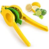 Manual Citrus Press Juicer