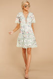 Groundbreaking Pastel Floral Lace Dress