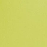 Small Leather Retail Tote - Chartreuse