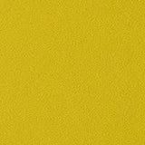 Fruit Pouch - Citron